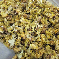 ��Ƥʯ����