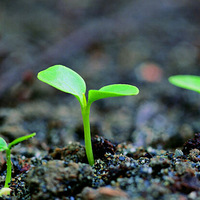 �����ӡ����н�����������˼��~~ 