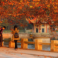 ®ɽ����һ���ͷ�ʱ �οͷ�������