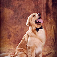 ����~����˵��һ���Ӳ��ֿ������ɳ��ռǸ�¥��~��