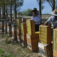 ���۵���ҵ������ġ��ִ������ˡ�