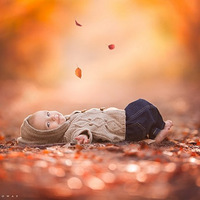 Ϊʮ���������յ�����