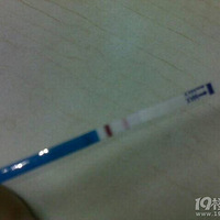 �ҼҵĶ���ϲ������������