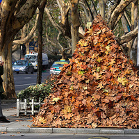  У԰��ǰ�ѡ������� ��Ժѧ�����ﾰ