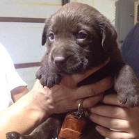 ��������ֻ��������Һ��꿨������