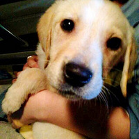 ��������ֻ���������ʱ���ߣ�Ӣ�۸����Ȳ���