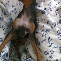 Ѱ����ʾ13566426377