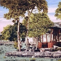 100����ǰ�����������գ�һ��û������ 