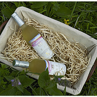 ���Ѿ����вͣ�ɵ����͹������ɸ㶨�� 