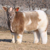 �㷢����ô���ԣ�˭holdס����