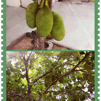 �ȴ�ˮ����