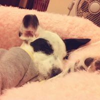 �޴������඼�Ǻû��û���~