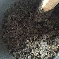  Ϊ��ֹŮ�����죬���ùŷ�������ζ��Ӫ���ġ��й��ɿ�����