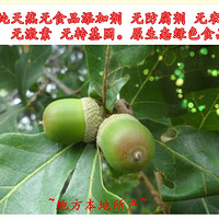 ���궹������ʲô?