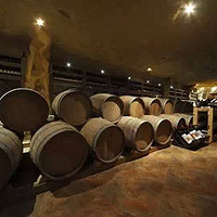 ԭ����Ʒ��ƴ����֪ʶ������������𣿣� 