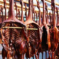 ��Ѽ---��ͳ�����������������