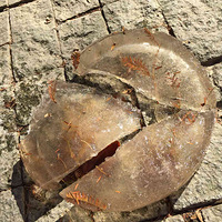 ���꣬��ɽ�ﾲһ��