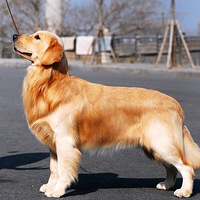 �⼸���ë���ѻؾ��ֲ�����ϴ��