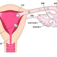 �����������У����еĿ�ѧ����