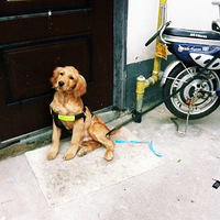 ���½�չ����������׼������������һ��������������Ű��С��ë��