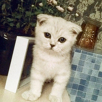 ������С�õγɳ��ռ�