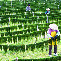 ũ����ɹ�Ĵ���Ȼ�ɺ�̦��������