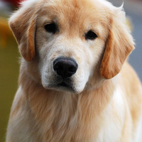 7���µ��ֵ���