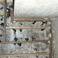 �벻Ҫ��ʳ�����ݹ���������