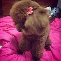 ���Ұ����á�֮�����������