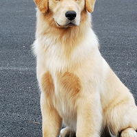 ����������ϴ�����������Сʱ���׸��˶ſ���ү