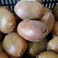 2015���ؼ۽�ɽ����⨺��ҿ�����