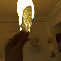 С�õ������������