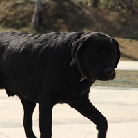 Tony��peter�Ļ���