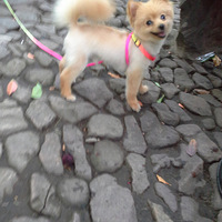 ��Ѱ��ɫ��������л!!!!!!��