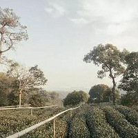 Ǯ͵ޱ ¿8СھƵ꺼ң