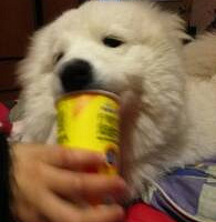 ����ɶʱ����ܺ�г�ദ�أ�������