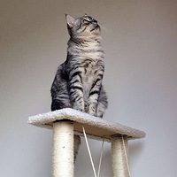 ��è�Ǹ�����·