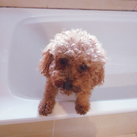 ����ֱ�ӵ������·���