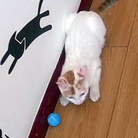 ��С�ȵ��Ҹ�����