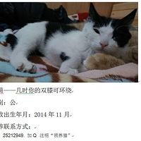 2015��2�º��������¶��������յ�3��