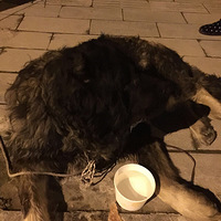 ����������һ���ϸվ���һ��Ҫ��ɱ�Ĺ�����