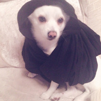 ��Ȼ���Ǻ�Ʒ�֣�ȴ�����ĸα���