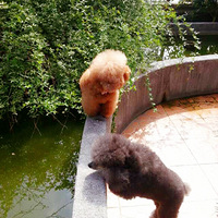 ����ʮ�꣬�������أ����ܱ����İ������[