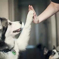 Give me five�������˺������ˣ������ư�~