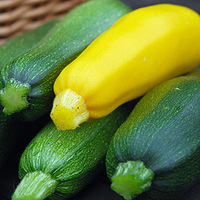 ��ʲô�˼�����죿ȥ֬�ȽϿ죿