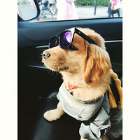 ֻ������ҡ�ڡ�����������