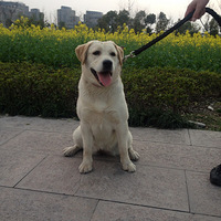 �Ͳ˻���ඡ������ű�������ɢ������