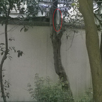 ����Ƶ����С�ȵ��Ҹ�����֮���