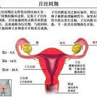 ����жϻ��У��ճ�֢״����!