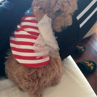 �������޸�